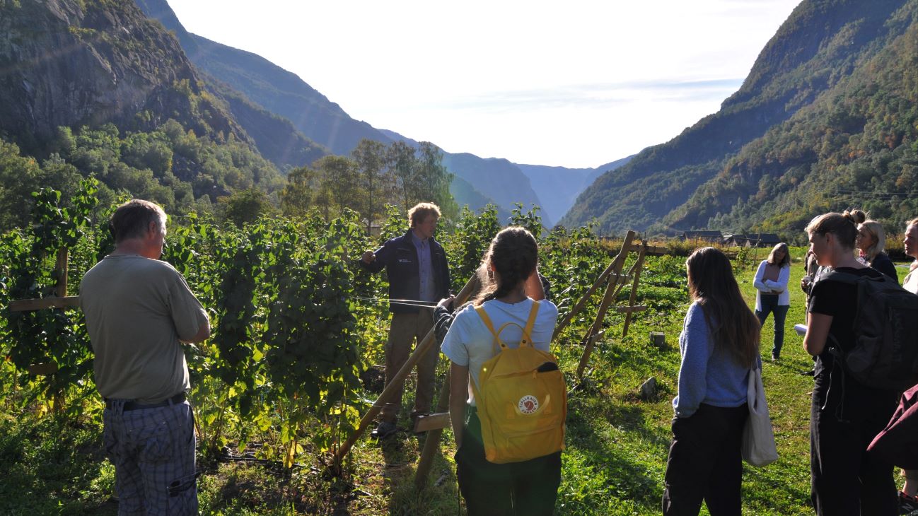 mennesker i en åker med fjell i bakgrunnen