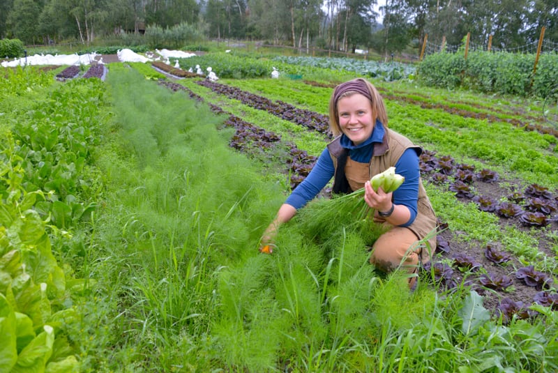 Sofia står på huk i åkeren og har viser frem en grønn grønnsak